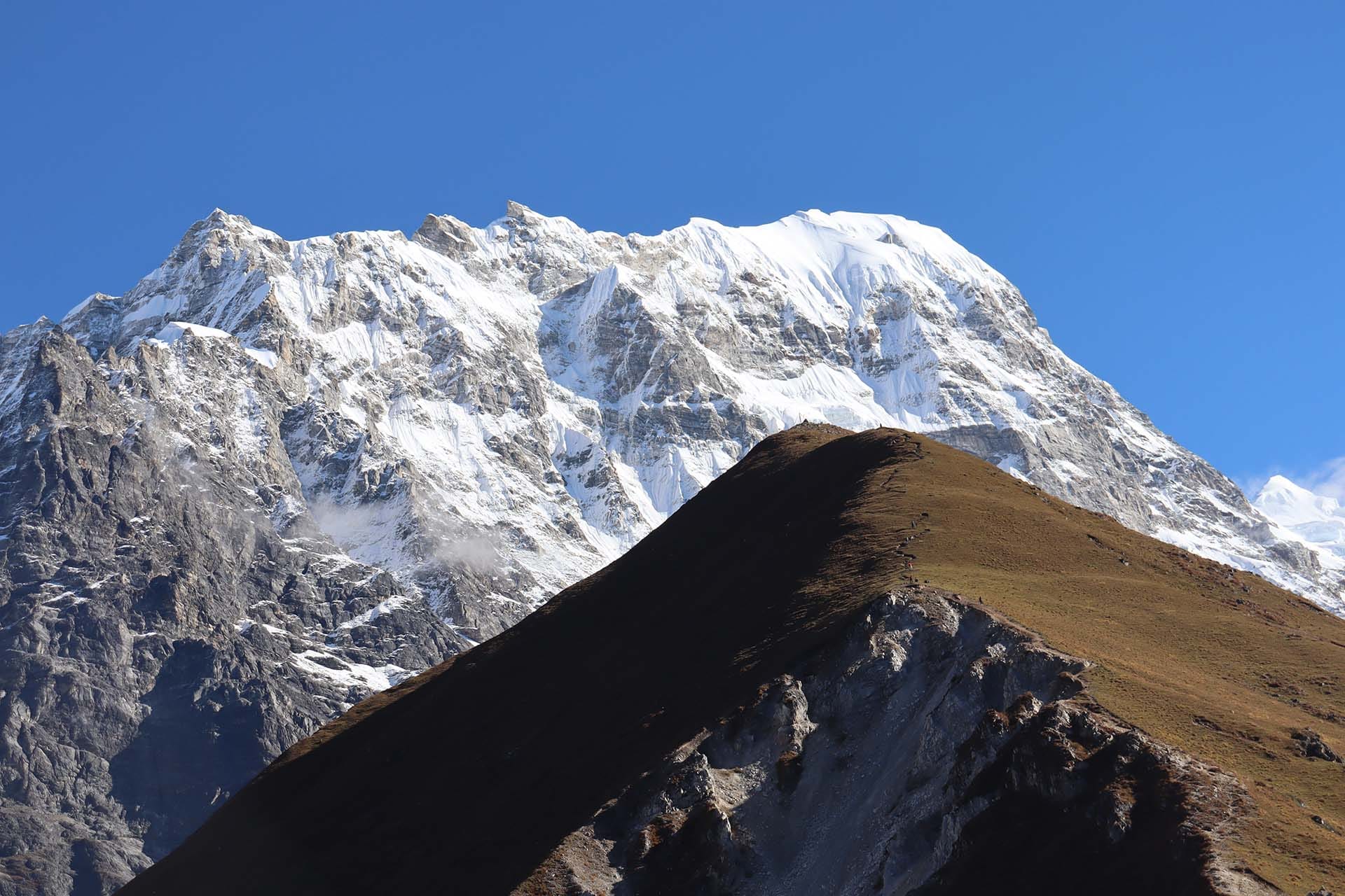 Nepal's yarsagumba collectors feel climate heat