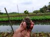 Floating farms and food security
